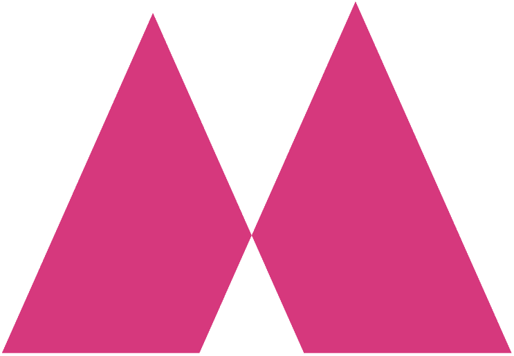 Logo Icon